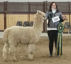 Sandra Brown with her champion alpaca